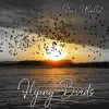 Steve Wallet - Flying Birds - Single